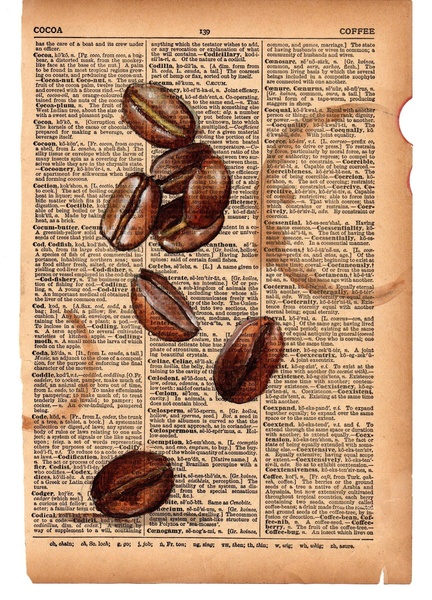 coffee beans, whole bean coffee, roasted coffee beans, arabica coffee beans, coffee, brand awareness, lifestyle, calm, brown, neutral